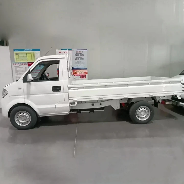 Ruichi EC31 RHD Mini Truck